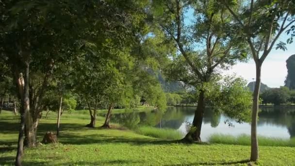 Kamu Parkındaki Çimenlerin Arasından Doğal Gölete Doğru Asfalt Yoldan Yürüyorum — Stok video