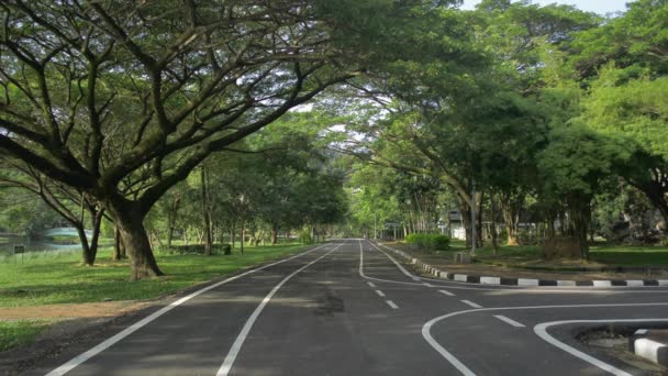 Stille Szene Einer Leeren Asphaltstraße Öffentlichen Park Schatten Der Bäume — Stockvideo