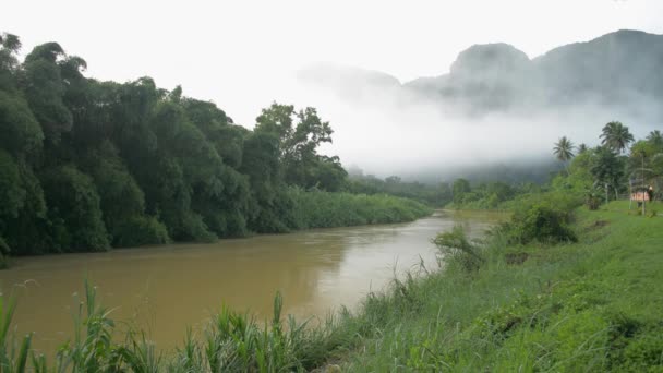 朝の霧深い山の緑豊かな植物に囲まれ ゆっくりと流れる川の美しい風景 谷の農村部のシーン パンガー県 — ストック動画