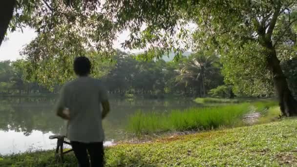 Paisaje Matutino Estanque Natural Bajo Luz Del Sol Parque Con — Vídeo de stock