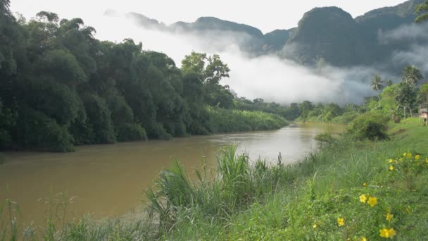 暖かい朝の日差しの下で緑豊かな植物に囲まれた霧の山の間をゆっくりと流れる川の美しい風景 パンガー県の農村風景 — ストック動画