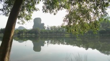 Yeşillik bitkilerle çevrili güzel bir göl manzarası. Asyalı bir kadın sabah güneşi altında bir ağacın gölgesinde koşuyor, egzersiz yapıyor ve kollarını havaya kaldırıyor. Sağlıklı yaşam tarzı.