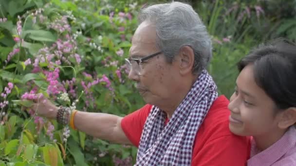 Elderly Retire Gray Hair Grandfather Taking Care Flowers Garden While — Vídeo de Stock