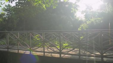 Asyalı, orta yaşlı, sağlıklı bir kadın. Spor kıyafetleriyle yeşil doğal parkta sabah güneşinin altında koşuyor. Kirlilikten uzak bir ortamda yaz sporu. Parkta kardiyo egzersizi.