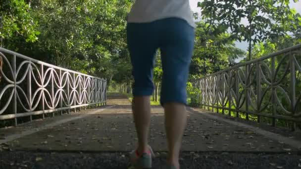 Hátsó Nézet Ázsiai Középkorú Egészséges Sportruházatban Kocog Ösvényen Természetes Parkban — Stock videók