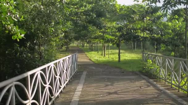 リアビュー暖かい朝の日差しの下で公園内のパス上のスポーツウェアジョギングでアジアの中年の女性 美しい自然の屋外で夏の運動 汚染のない環境 パンニングショット — ストック動画