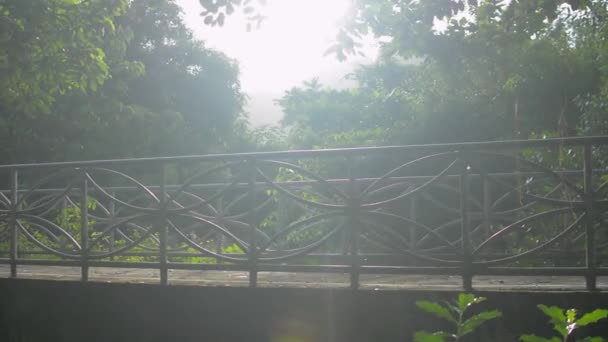 Asian Woman Sportswear Face Mask Jogging Bridge Warm Morning Sunlight — Stock Video