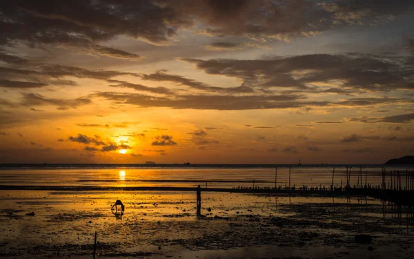 Dawn at the seaside when low tide — Stock Photo, Image