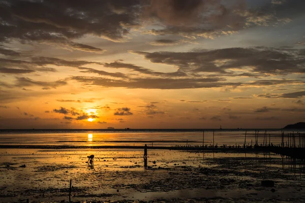 L'alba al mare quando la bassa marea — Foto Stock