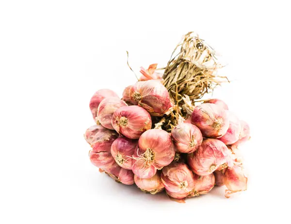 Red onion isolated — Stock Photo, Image