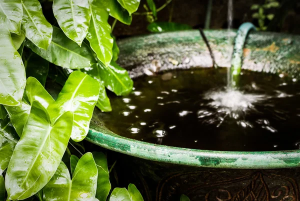 Old ceramic bucket in the garden — Stock Photo, Image