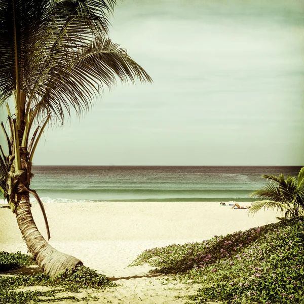 Paisaje marino natural con una mujer relajándose en la playa —  Fotos de Stock
