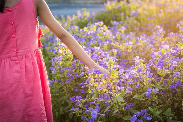 Hand of a little girl touching wildflower in the meadow — Stock Photo, Image