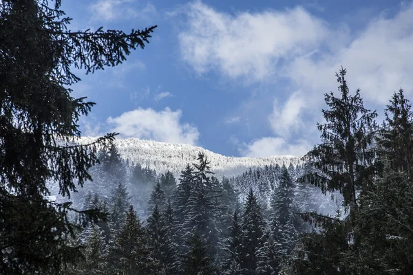 Vinterlandskap i Brunico — Stockfoto