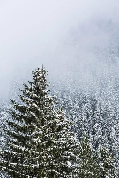 Paisagem de inverno em Brunico — Fotografia de Stock