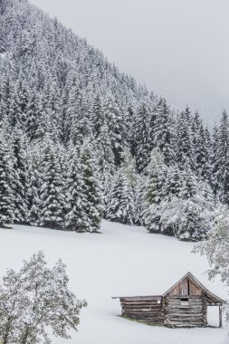 Dolomiti