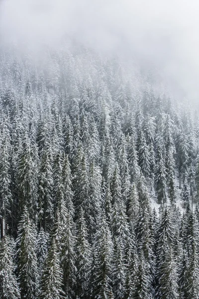 Vinterlandskap i Brunico — Stockfoto
