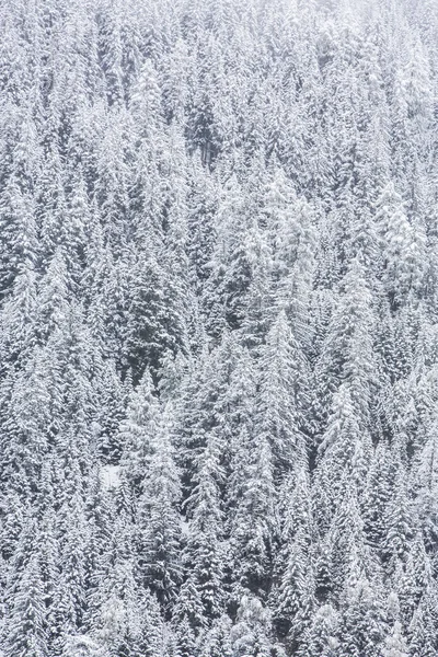 Dolomiti — Foto Stock