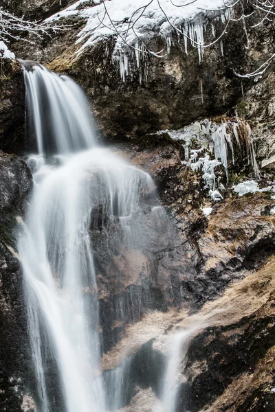 Invierno — Foto de Stock