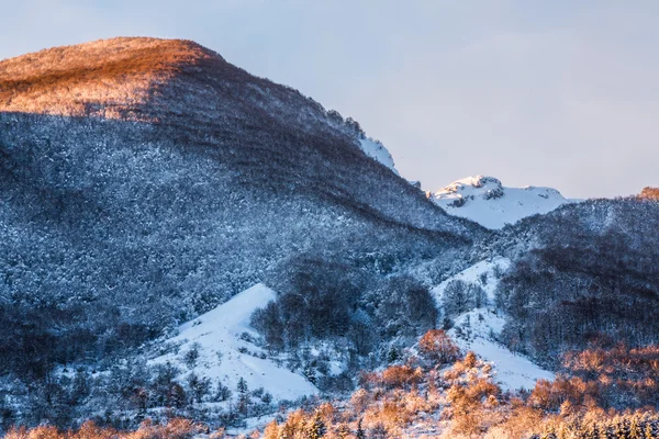 Vinter — Stockfoto