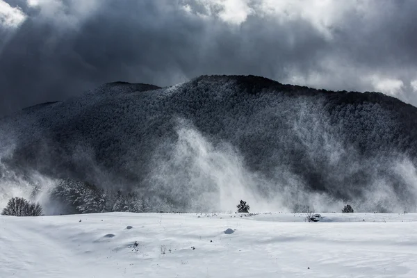 Inverno — Fotografia de Stock