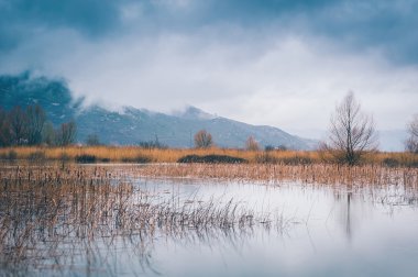 Su yüksek bir bulutlu kış gününde bataklıkta kalktı