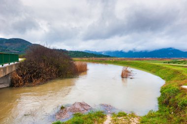Su yüksek bir bulutlu kış gününde bataklıkta kalktı