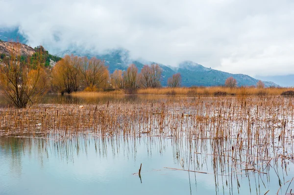 A água é levantada no alto do pântano em um dia nublado de inverno — Fotografia de Stock