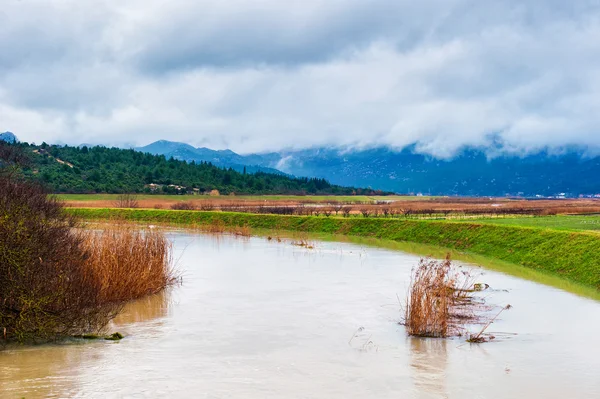 Water wordt opgeheven hoog in het moeras op een winterse bewolkte dag — Stockfoto