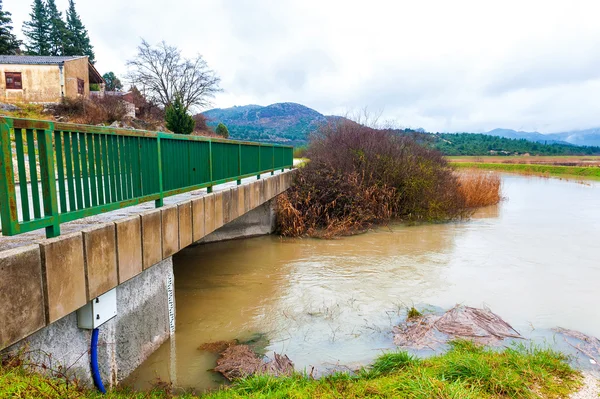 Su yüksek bir bulutlu kış gününde bataklıkta kalktı