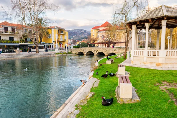 SOLIN, CROATIA - FEBRUARY 26, 2015: Ducks in a city park in Solin, Croatia, enjoying by the water — Stock Photo, Image
