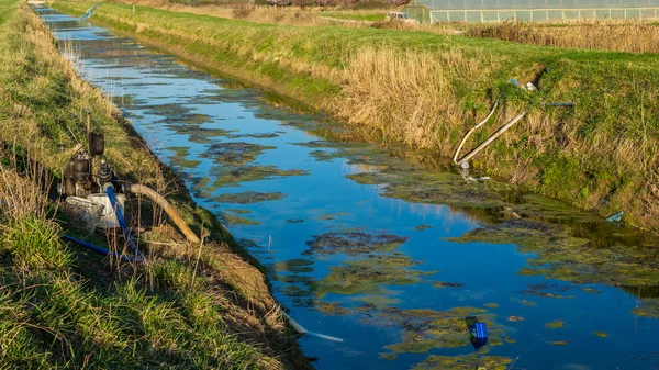 Natuur- en watervervuiling. Algen en zeewier in het water kanaal. — Stockfoto
