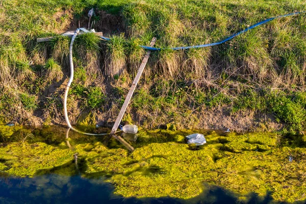 Nature and water pollution. Algae and seaweed in the water channel.