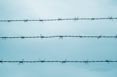 Dikenli teller. Hapishane kavramı, kurtuluş, mülteci, yalnızlık.