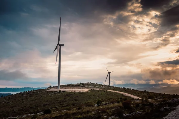美丽多云的夏秋日落上的风力涡轮机 山地土拨鼠 绿色生态发电 风电场生态场 — 图库照片