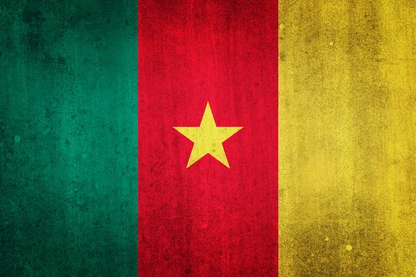 Bandera Nacional de Camerún. Efecto gruñón . — Foto de Stock