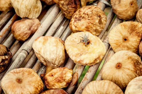 Many figs are dried in traditional procedure with a fly on top — Stock Photo, Image