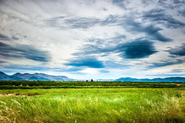 Yeşil çayır ve bulutlu gökyüzü görünümü yatıştırıcı — Stok fotoğraf