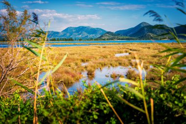 Bataklık g bol olan deniz yoluyla bağlanır sığ deniz