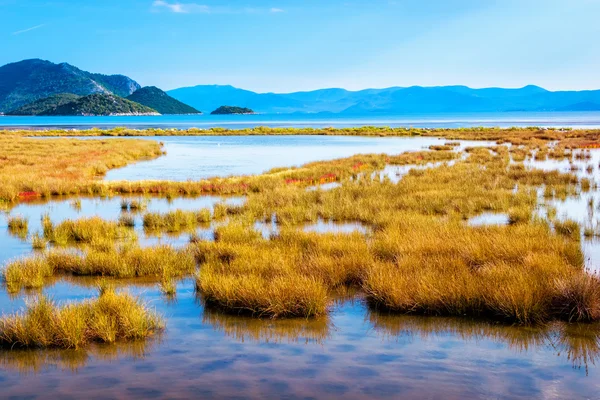 Mare poco profondo che si collega con palude vicino al mare con un sacco di g — Foto Stock