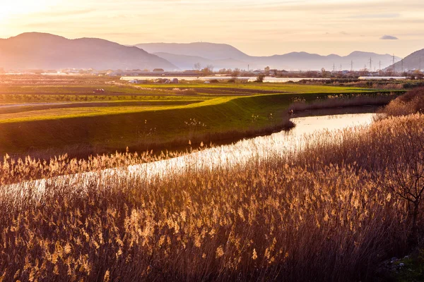 Sunset illuminates the fertile fields and water canals — Stock Photo, Image