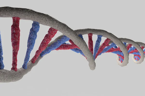 Modelo de estrutura de DNA. Imagem de renderização 3d . — Fotografia de Stock