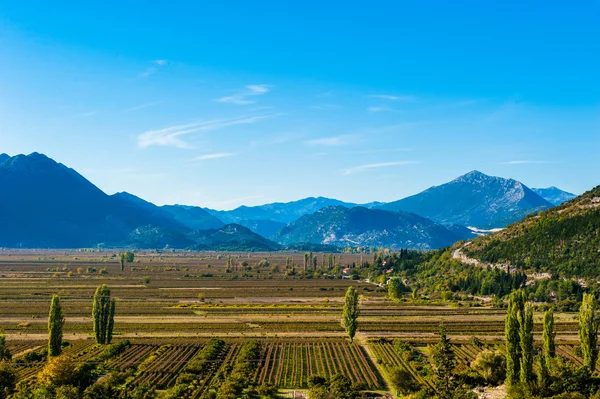 Belle journée sur les plaines fertiles du sud de la Croatie — Photo