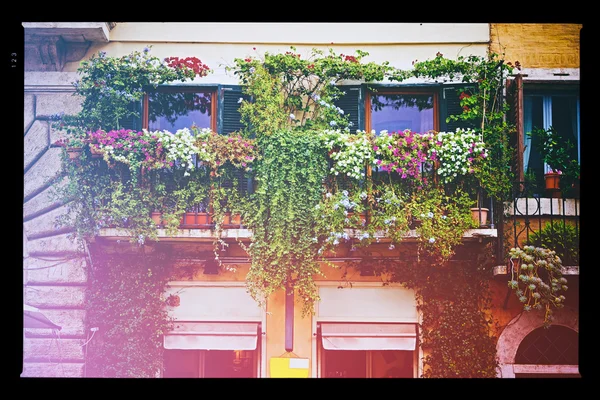 Balconi pieni di fiori e verde decorano case e strade a Roma, Italia — Foto Stock