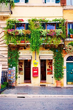 Balkon çiçekleri ve yeşilliklerle dolu dekore evleri ve sokakları Roma, İtalya