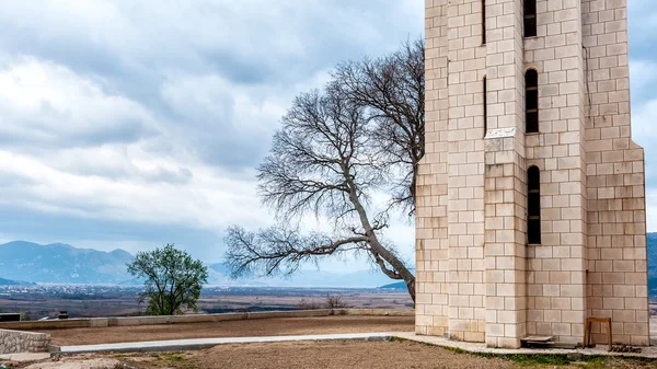 Stone tower with bare tree on cloudy day — Stock Photo, Image