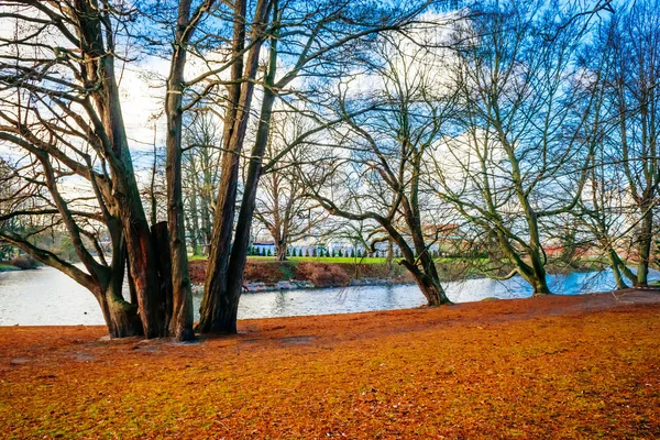 心を落ち着かせる自然とスウェーデンのマルメの中心の湖の周りの美しい冬のシーン — ストック写真