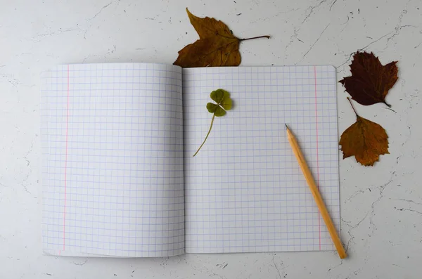 Notebook with a bookmark made of four-leaf clover on the background of an autumn leaves  Selective focus.