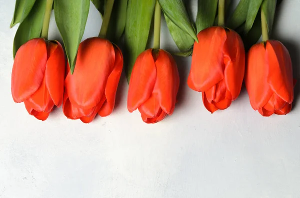 Several tulips on a textured abstract canvas background.