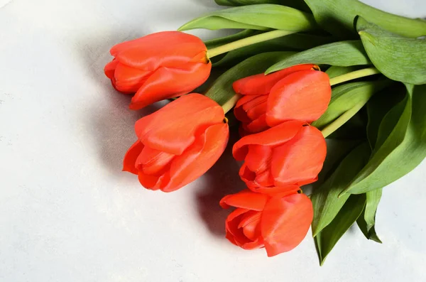 A bouquet of five tulips on a textured abstract background. Selective focus.